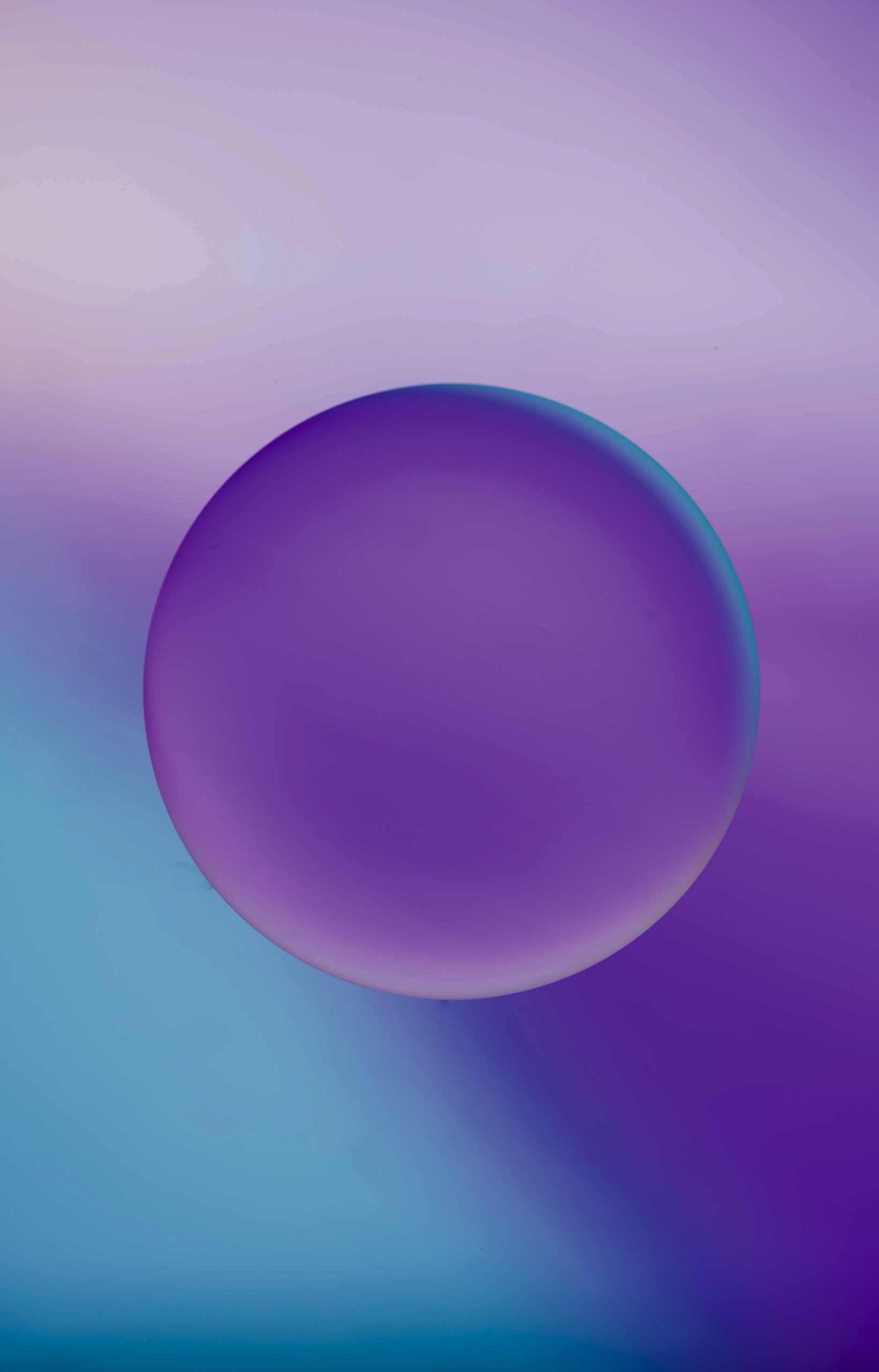 How to Prepare a Business Plan from Scratch