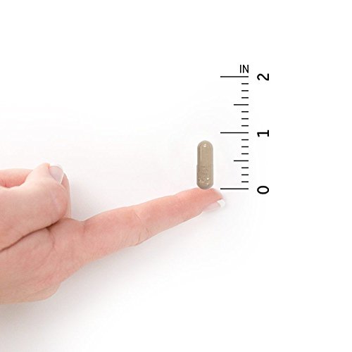 Garden of Life Vitamin Code Iron Supplement, Healthy Blood - 60 Vegan Capsules, 28g Iron, Vitamins B, C, Trace Minerals, Fruit Veggies, Probiotics - Iron Supplements for Women Energy, Anemia Support - Image 3