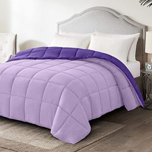 Homelike Moment Twin Lightweight Comforter Purple - All Season Down Alternative Bed Comforter Summer Duvet Insert Quilted Reversible Comforters Twin Size Plum / Light Purple
